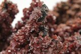 Lustrous Vanadinite Crystals on Goethite Stalactites - Morocco #209144-3